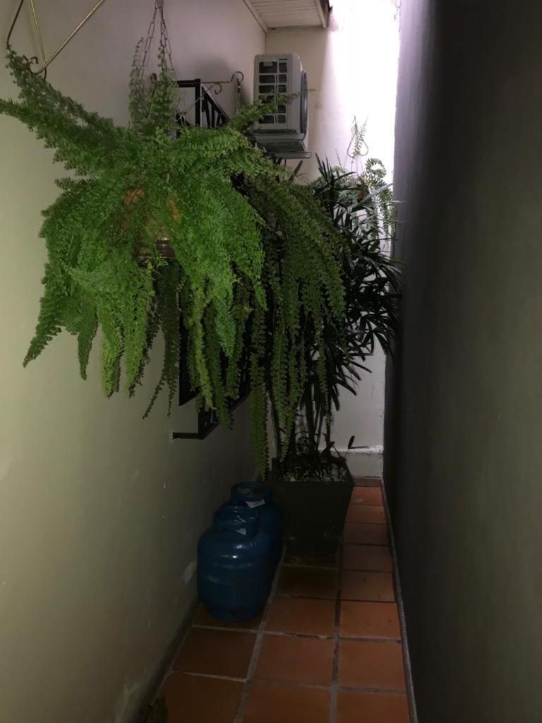 Suite Cardoso Foz do Iguaçu Zewnętrze zdjęcie